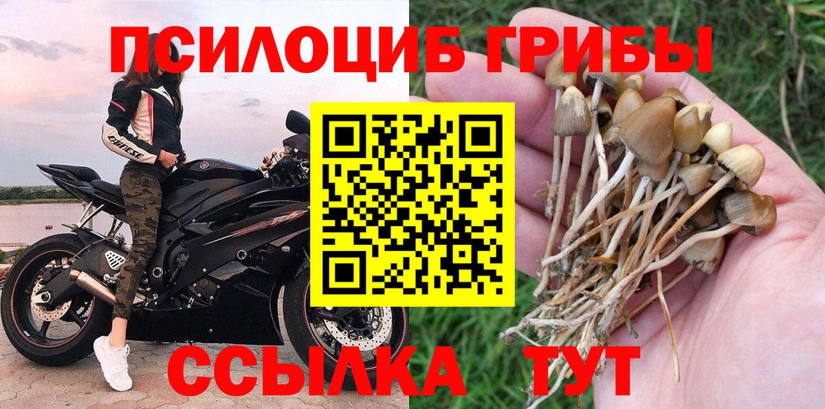 Мариинск  Галлюциногенные грибы Magic Shrooms  Вход с VPN  Псилоцибиновые грибы GOLDEN TEACHER 